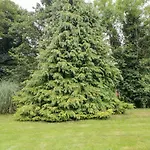 Riverside House Feriehus Scarborough