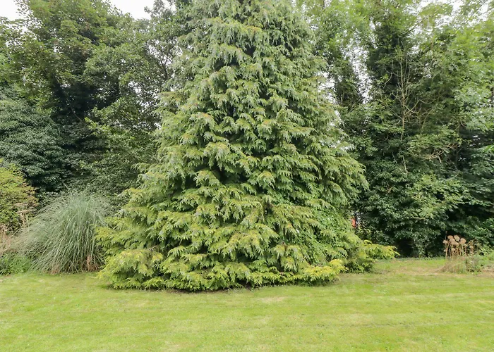 Riverside House Holiday home Scarborough